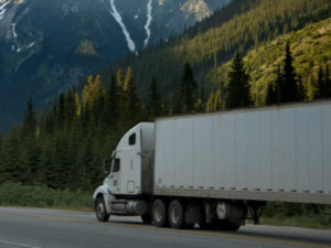 Road Freight Deny Cargo